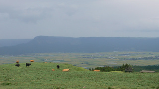 1109kumamoto 049.jpg