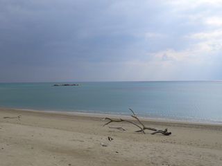 14122024okinawa 024.JPG