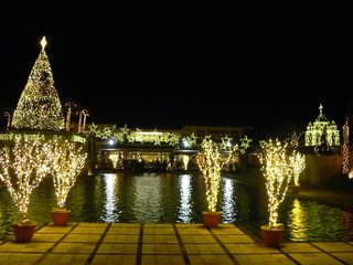 14122024okinawa 040.JPG