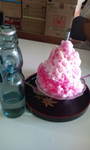 20100828161255.jpg