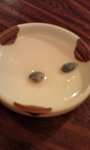 20100927183356.jpg