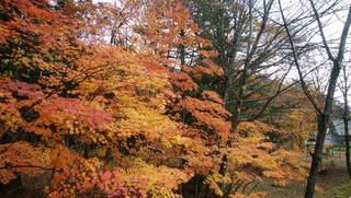DSC_0063.jpg