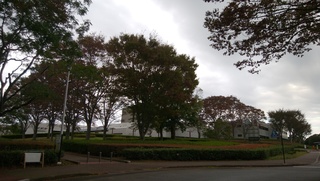 DSC_0114.jpg