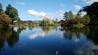 DSC_0137.jpg