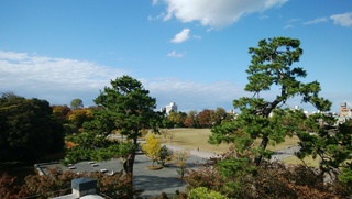 DSC_0149.jpg