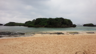 IMG_20150304_104932.jpg