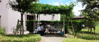 IMG_20150723_112010.jpg
