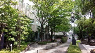IMG_20150727_084603.jpg
