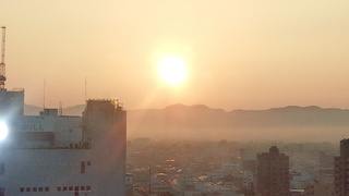 IMG_20161020_062514.jpg