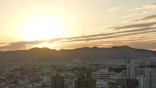 IMG_20161027_062239.jpg
