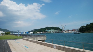 IMG_20170823_141308.jpg